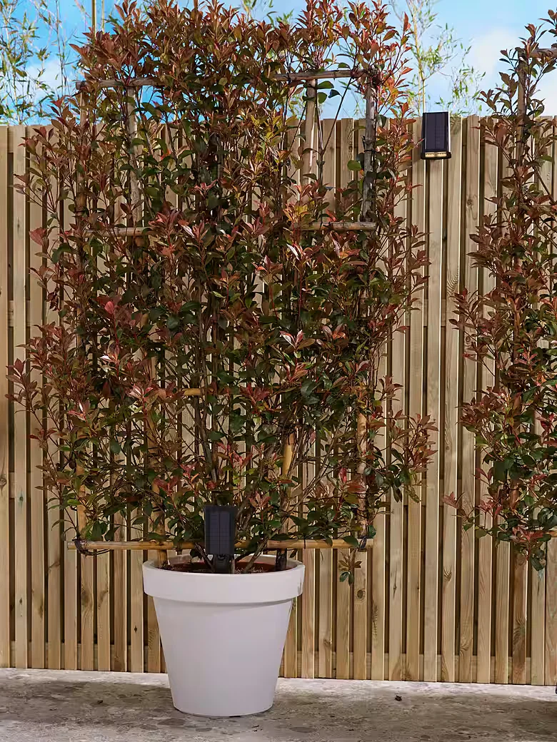 LUXFORM Rosario LED Solar Gartenstrahler mit Erdspieß für außen