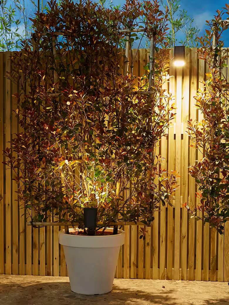 LUXFORM Rosario LED Solar Gartenstrahler mit Erdspieß für außen